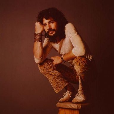 Cat Stevens