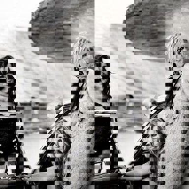 The Chicks (Dixie Chicks)