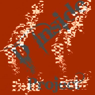 D'Inside Project