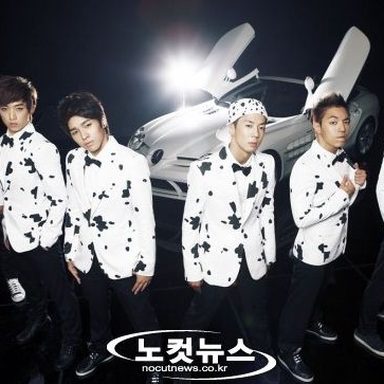 Dalmatian photo 9