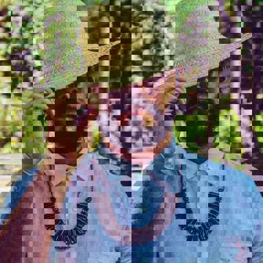 DAVID (mechamodavid)