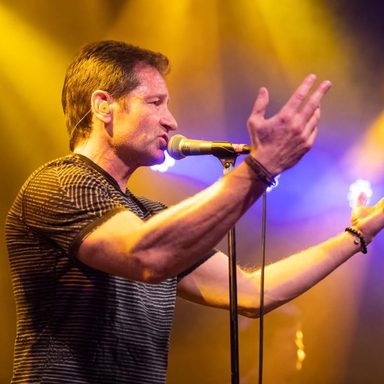 David Duchovny
