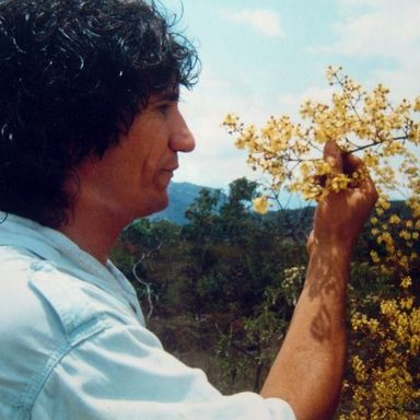 Dércio Marques
