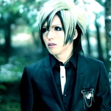 Diaura photo 16