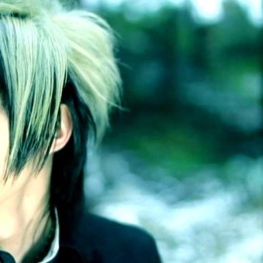 Diaura photo 9