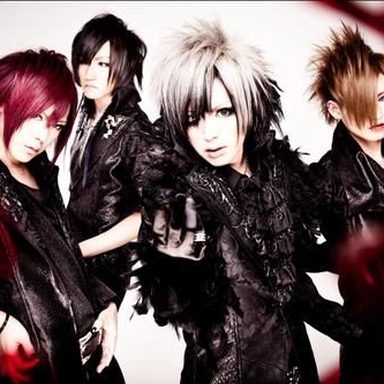Diaura photo 19