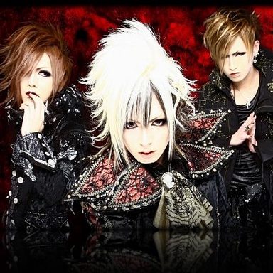 Diaura photo 24