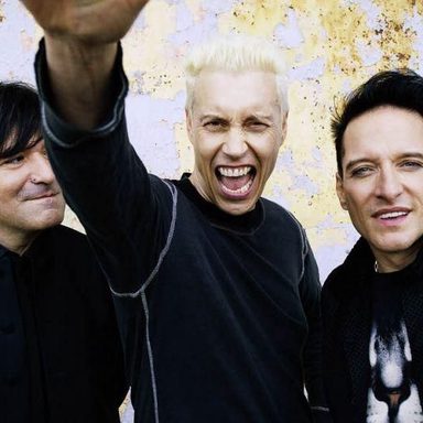 Die Ärzte