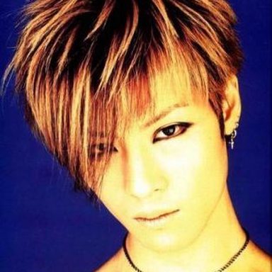 Dir en Grey photo 24