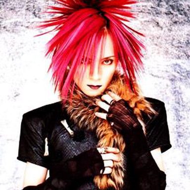 Dir en Grey photo 40