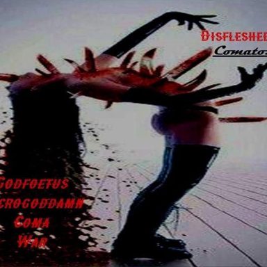 Disfleshedy photo 15