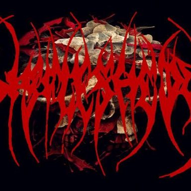 Disfleshedy