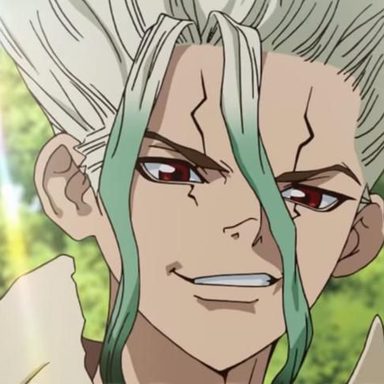 Dr. Stone