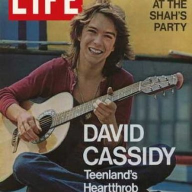 David Cassidy photo 9