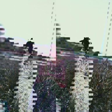 Edilene Gomes photo 66