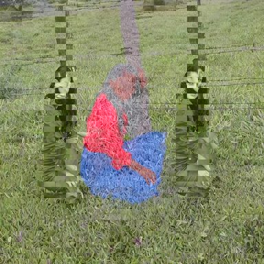 Edilene Gomes photo 33