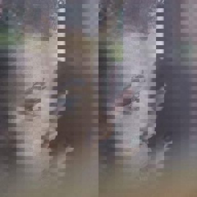 Edilma Santos photo 16