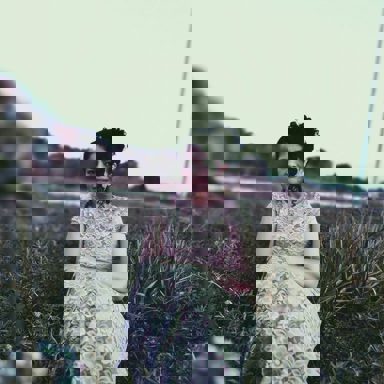 Edilene Gomes photo 65