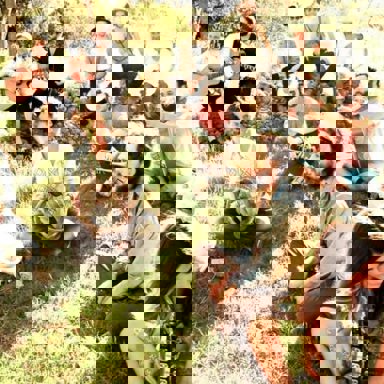 Edward Sharpe & The Magnetic Zeros