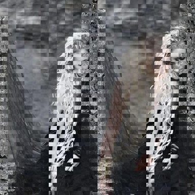 Eivor Palsdottir photo 17