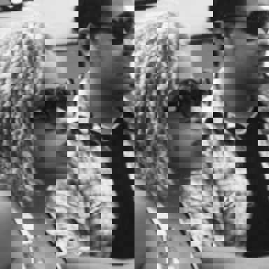 Elcio Dias e Elisa Dias