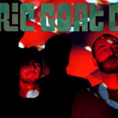 Electric Goat Combo photo 27