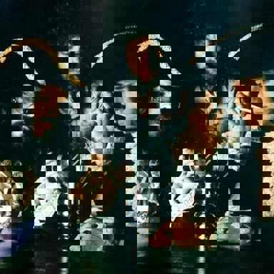 Electric Light Orchestra (ELO) photo 9