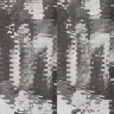 Elis Regina photo 16