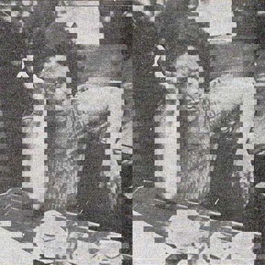 Elis Regina photo 19