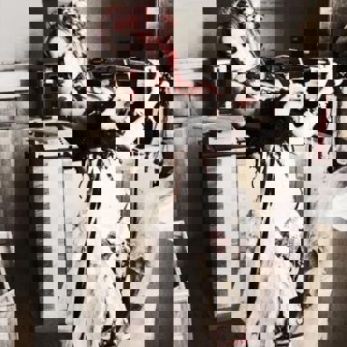 Emilie Autumn photo 13