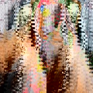 Emilie Simon photo 13