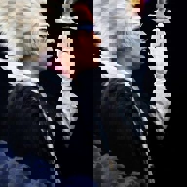 Empire Of The Sun photo 11