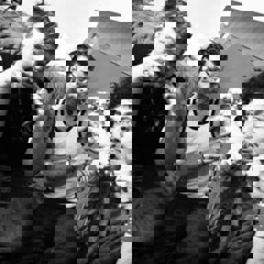 Eagles Of Death Metal