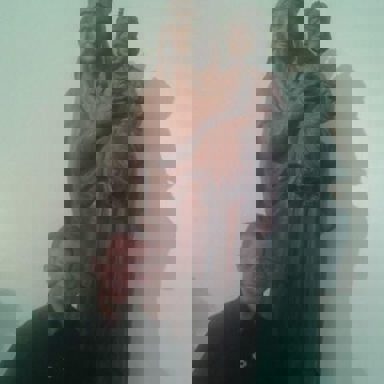 Edmilson Aparecido photo 16