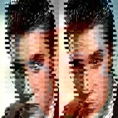 Elvis Presley photo 13