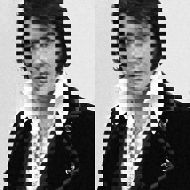 Elvis Presley photo 12