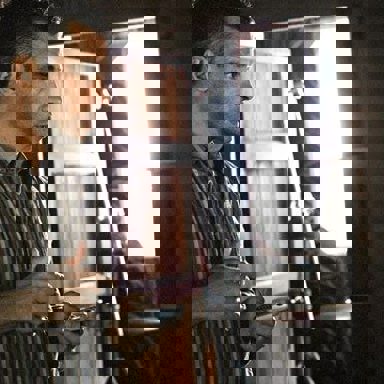 Eros Ramazzotti photo 10