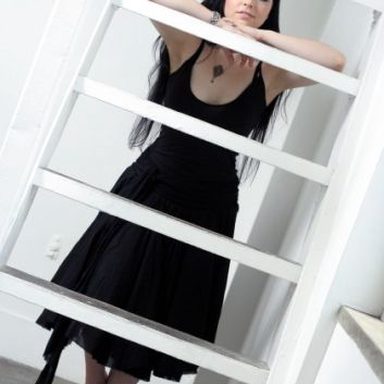 Evanescence photo 100