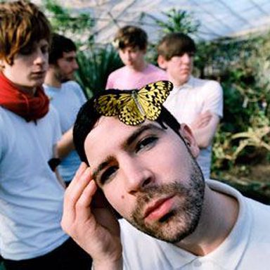 Foals photo 14