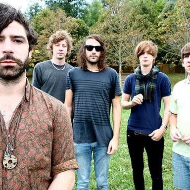 Foals photo 11