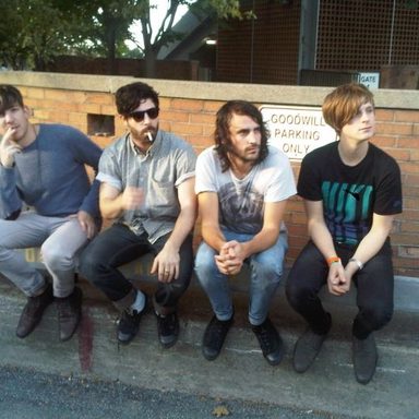 Foals photo 10