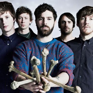 Foals