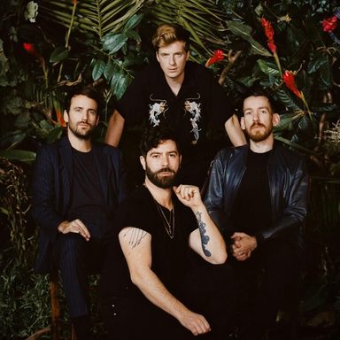 Foals photo 9
