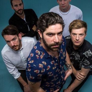 Foals