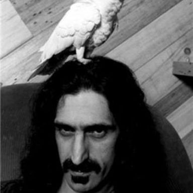 Frank Zappa