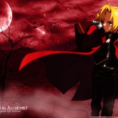 Fullmetal Alchemist photo 13