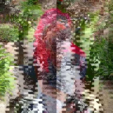 Faith And The Muse photo 12