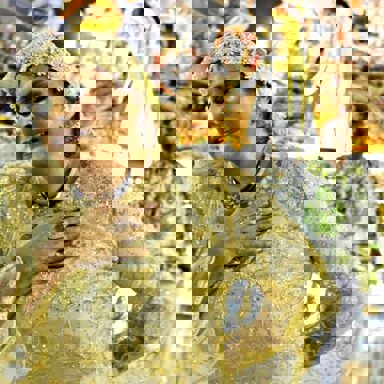 Fafá de Belém photo 10