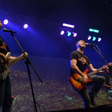 Feedback 33 photo 10