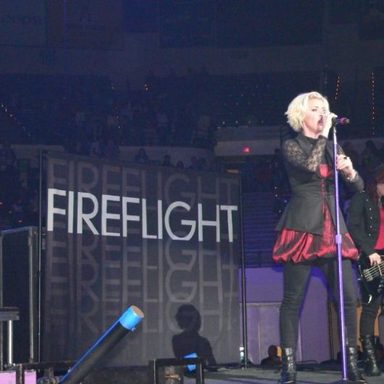 Fireflight photo 43